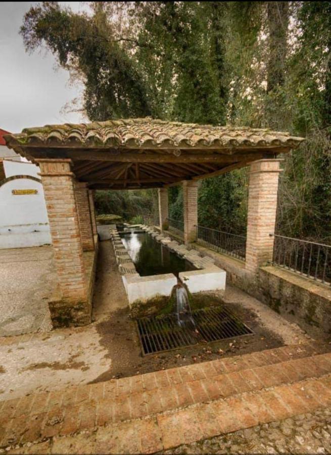 Tio Tesoro Villa Los Romeros Bagian luar foto